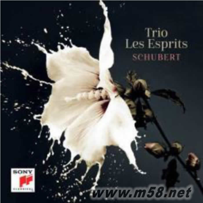 Schubert 舒伯特 鋼琴與大提琴專輯正面圖片