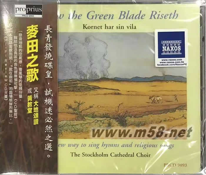 麥田之歌 大地頌贊(黃教堂)Now the Green Blade Riseth專輯正面圖片