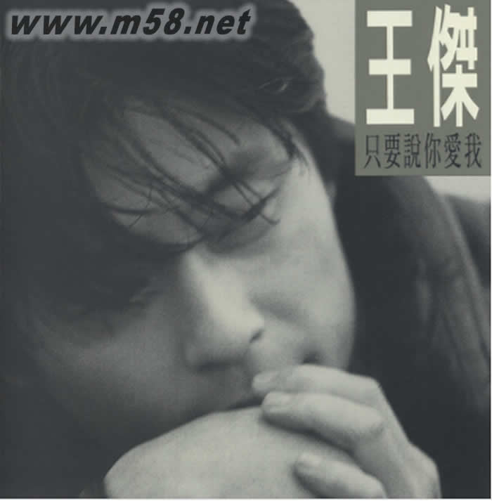 只要說你愛我(2019版)專輯正面圖片