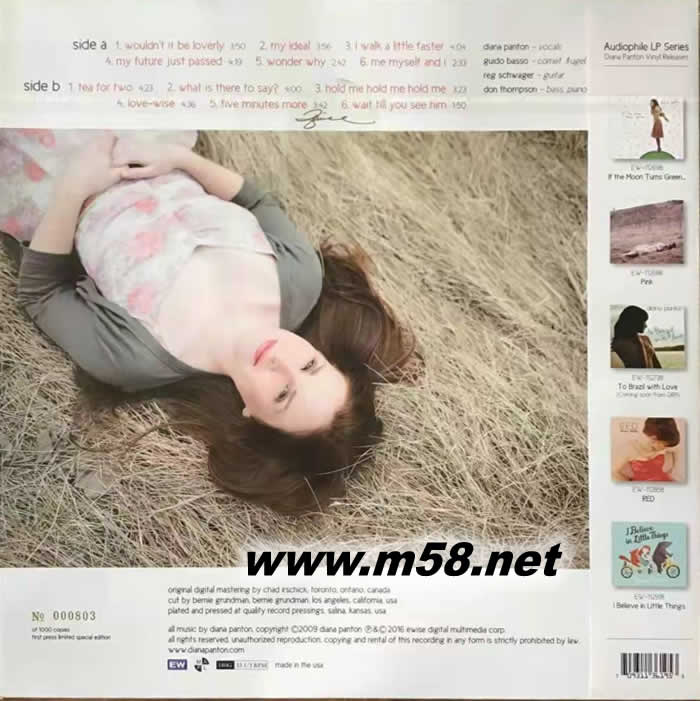 PINK 粉紅爵士 黑膠 限量版專輯背面圖片