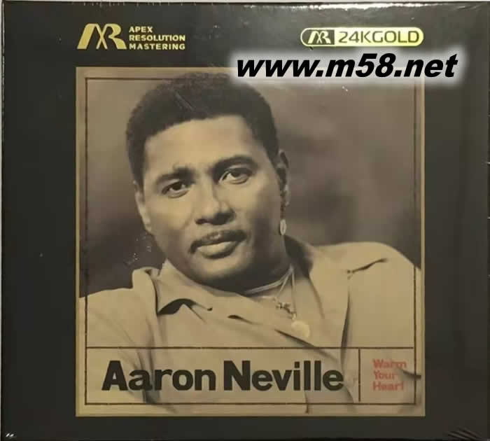 WARM YOUR HEART ARM 24K金碟 GOLD CD 限量版專輯正面圖片