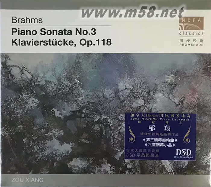勃拉姆斯 第3&6鋼琴奏鳴曲 DSD(國家大劇院系列)專輯正面圖片
