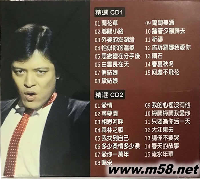 劉文正 國(guó)語(yǔ)精選輯專(zhuān)輯背面圖片