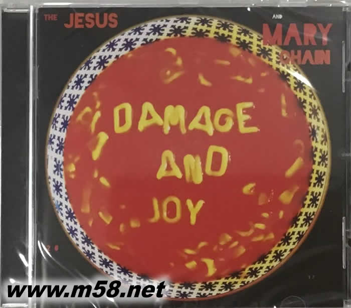 Damage And Joy 美版專輯正面圖片