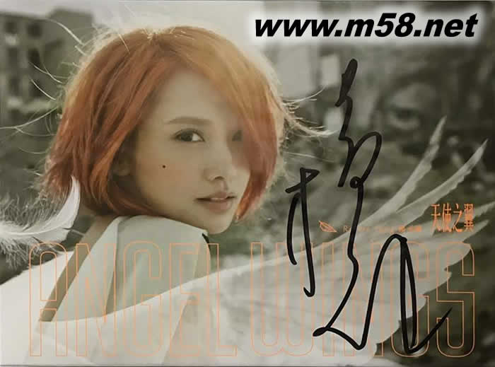 天使之翼 (臺版)專輯正面圖片