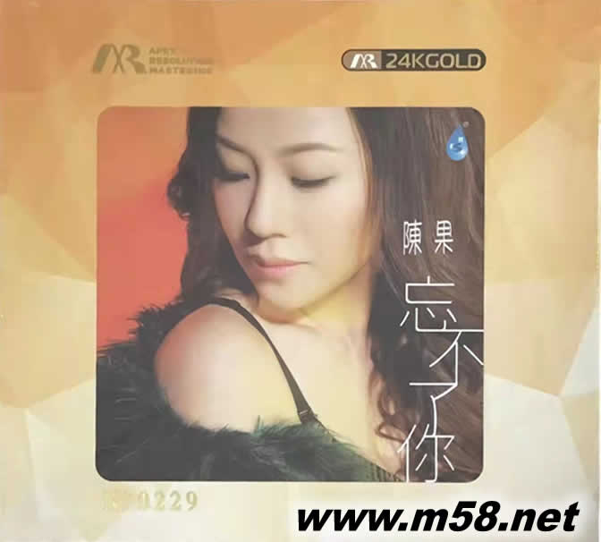 忘不了你 ARM24K金碟專輯正面圖片
