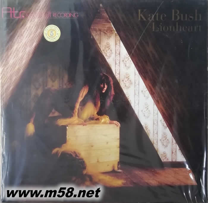 LIONHEART(民謠搖滾) 黑膠專輯正面圖片