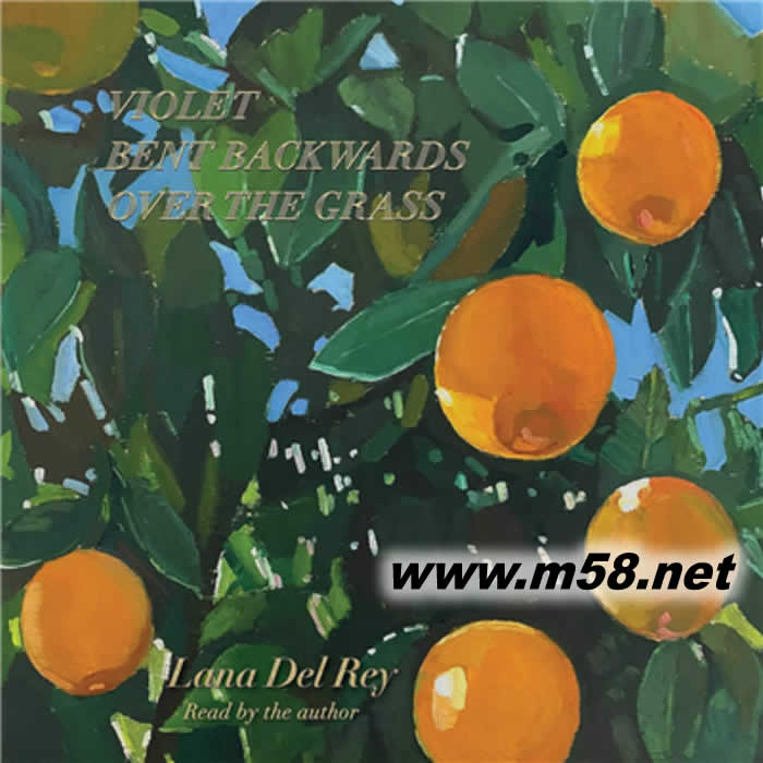 Violet Bent Backwards Over The Grass薇奧菈在草地嬉戲專輯正面圖片