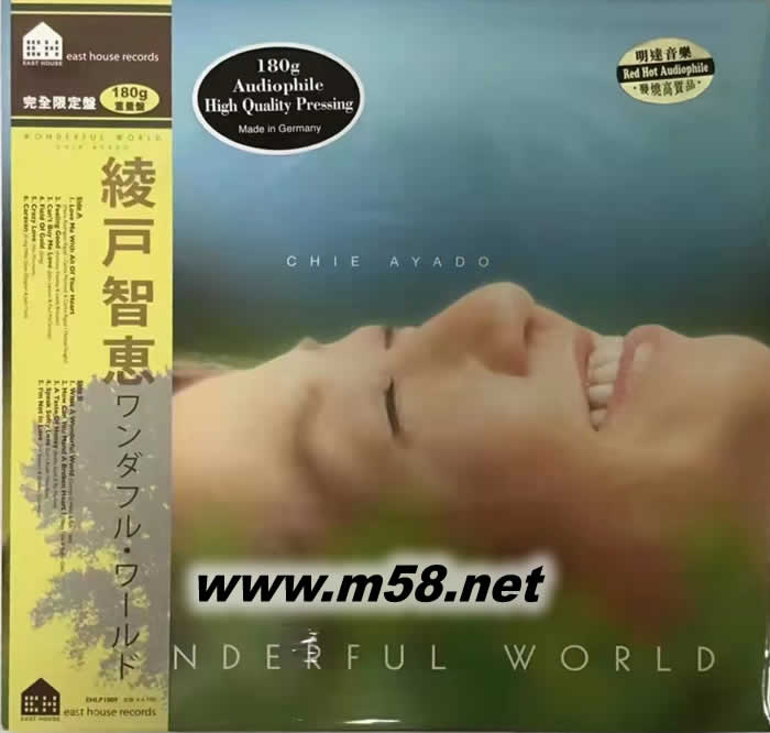 美好世界 NDERFUL WORLD 黑膠 完全限量版專輯正面圖片