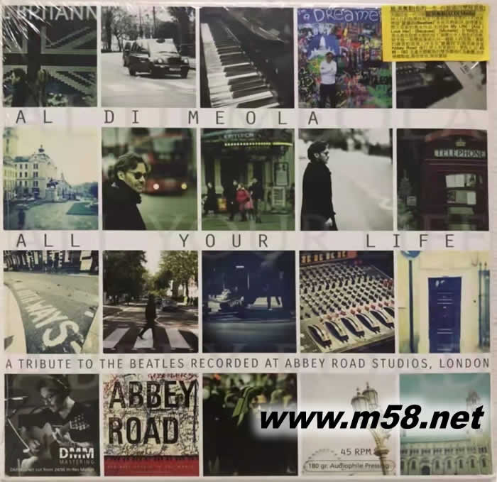All Your Life A Tribute To The Beatles迪 美奧勒 你的一生 向披頭四樂隊致敬 黑膠專輯正面圖片