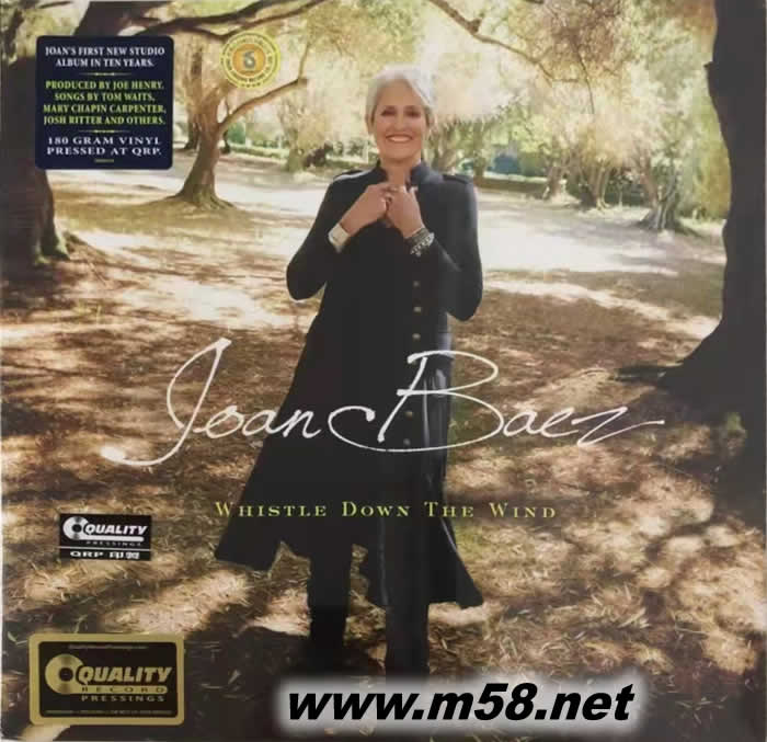 吹口哨 Whistle Down the Wind 33RPM LP 黑膠專輯正面圖片