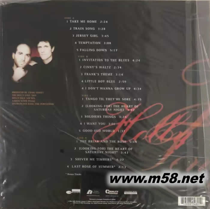 誘惑 TEMPTATION 180g 33RPM LP 雙黑膠專輯背面圖片