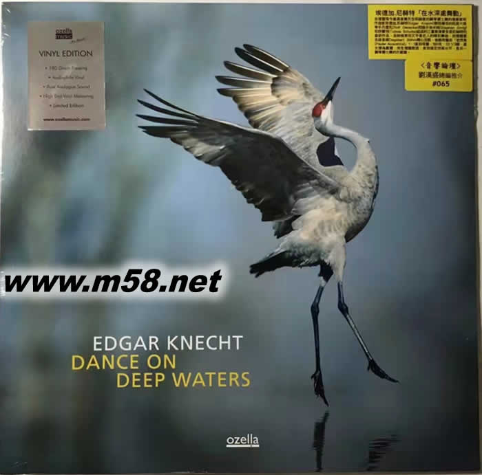 劉漢盛榜單 - 在水深處舞動 Dance on Deep Waters 180g 33RPM LP 黑膠專輯正面圖片