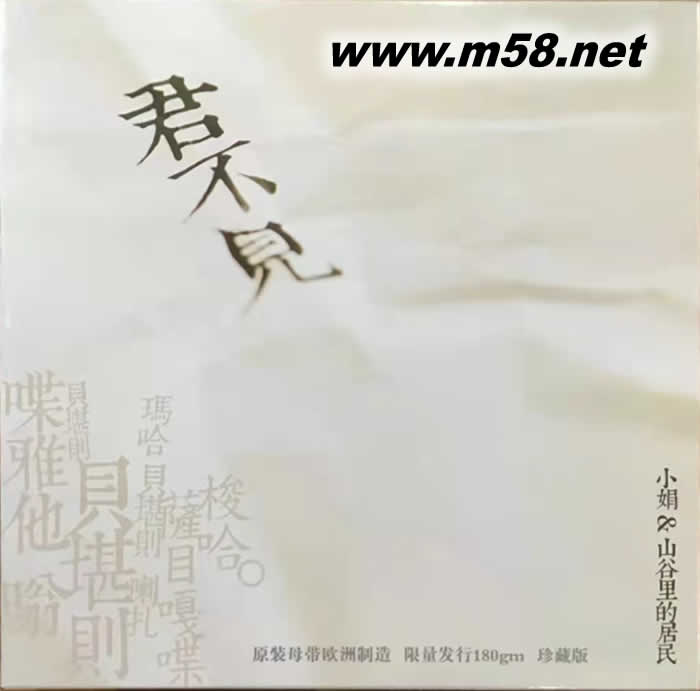 小娟&山谷里的居民 君不見 黑膠 限量版專輯正面圖片