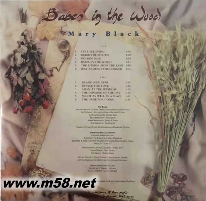 BABES IN THE WOOD 森林里的小孩 黑膠 限量版專輯背面圖片