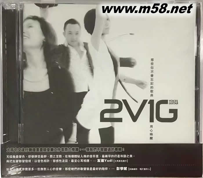 VOICES GUITAR專輯正面圖片