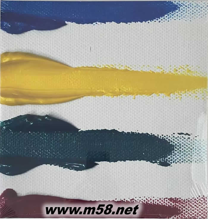 Peter Gregson QUARTETS 蘇格蘭大提琴家 黑膠專輯正面圖片