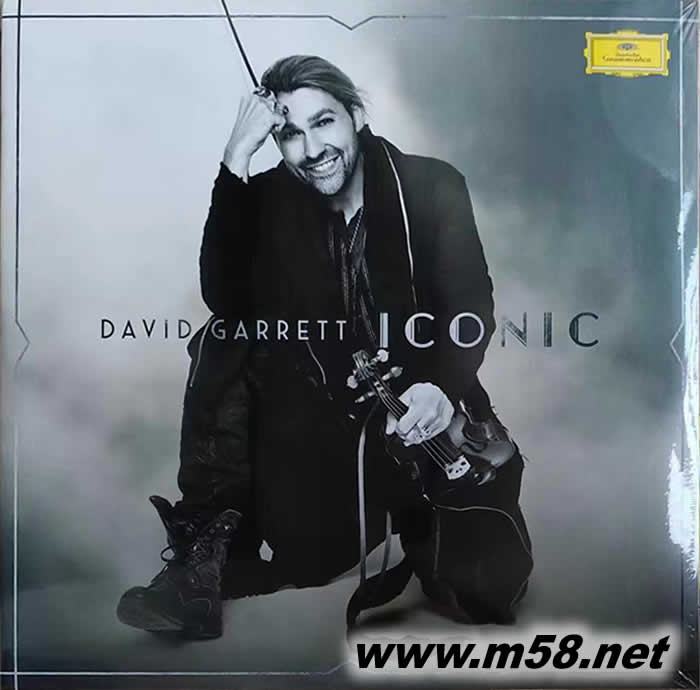 ICONIC 小提琴的標志 雙黑膠專輯正面圖片