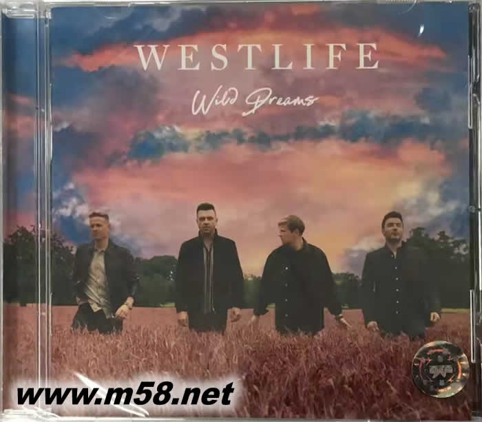 Wild Dreams 狂野之夢(mèng)(11首歌)專(zhuān)輯正面圖片