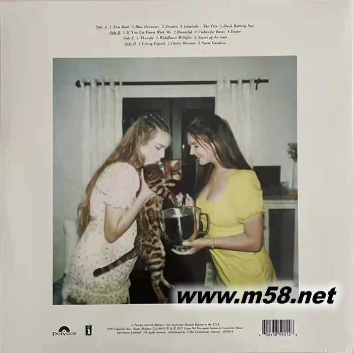 藍(lán)桿 Blue Banisters 黑膠專輯背面圖片