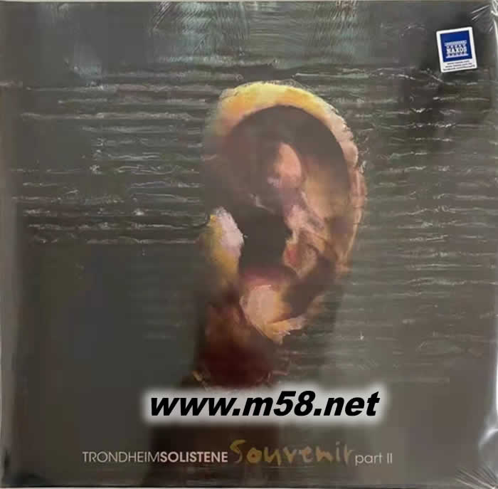 Souvenir Part II 全球首張Auro-3D 立體環(huán)繞聲音樂專輯 黑膠專輯正面圖片