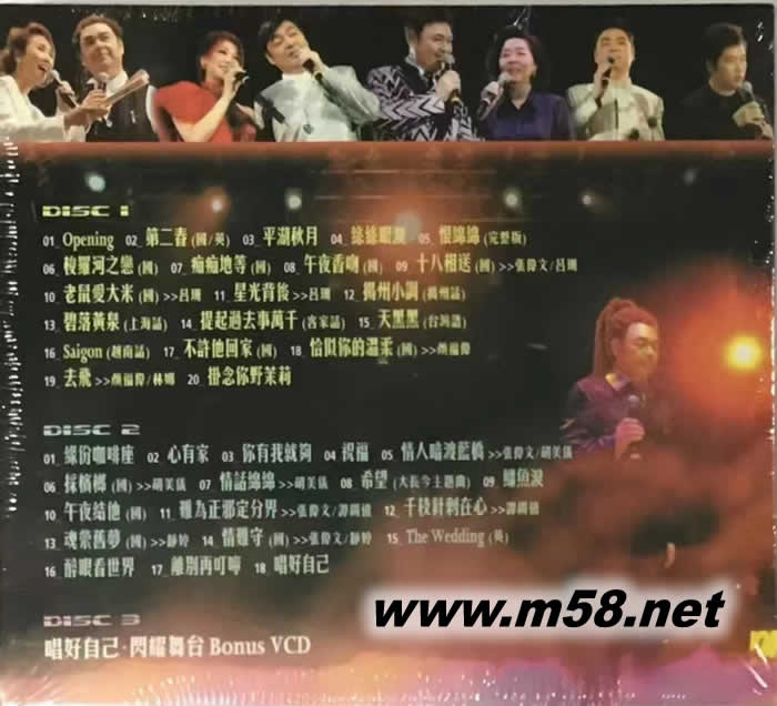 張偉文 唱好自己 演唱會LIVE 2005 2CD+VCD專輯背面圖片