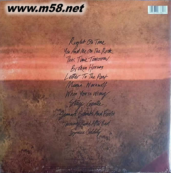 沉默的一天 IN THESE SILENT DAYS 雙黑膠 彩膠專輯背面圖片