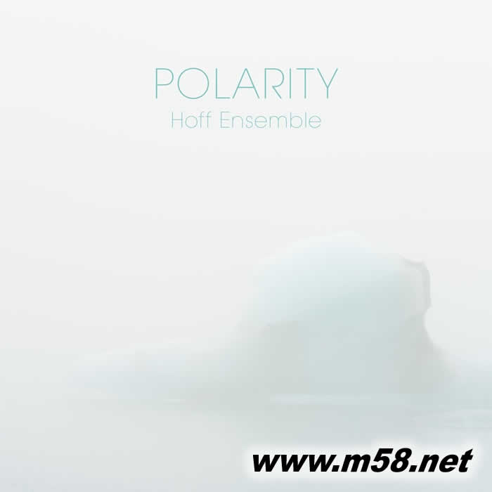 Polarity 極性 黑膠 白膠專輯正面圖片