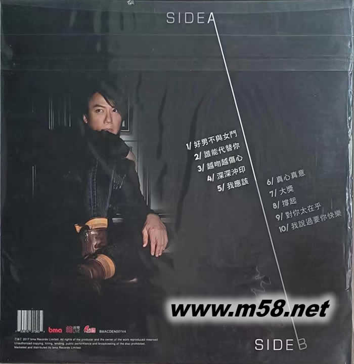 發燒音響錄音專輯 AMPLITUDE 180g 33RPM LP 黑膠專輯背面圖片