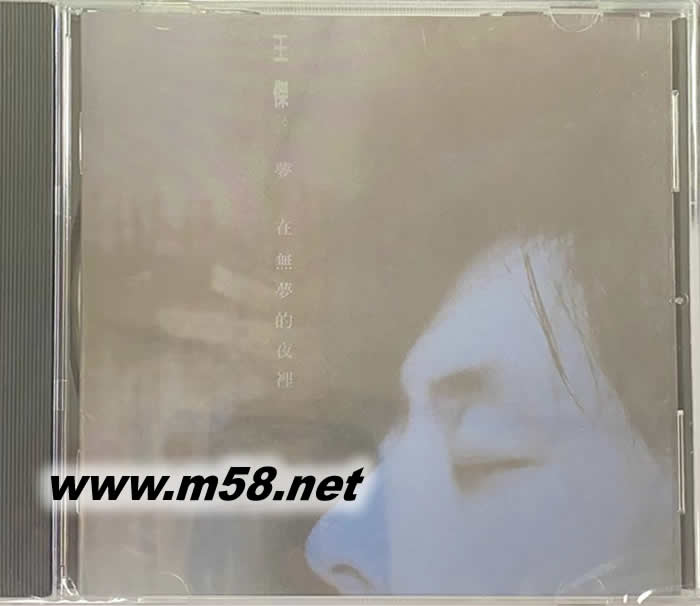 夢在無夢的夜里(2019版)專輯正面圖片