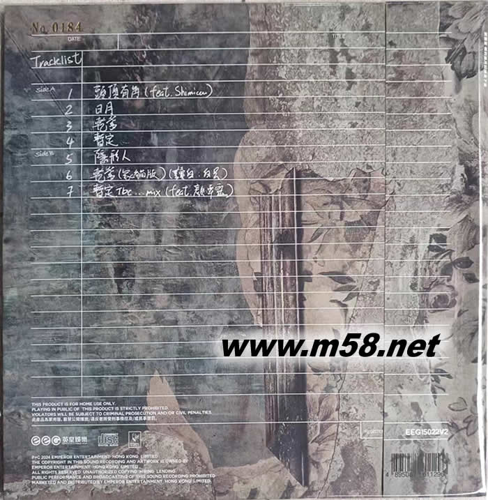 新的歲月 記得走下去 彩膠 爆花膠專輯背圖片