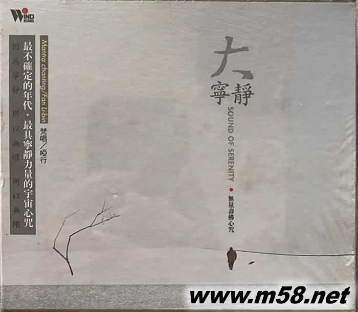 大寧靜專輯正面圖片