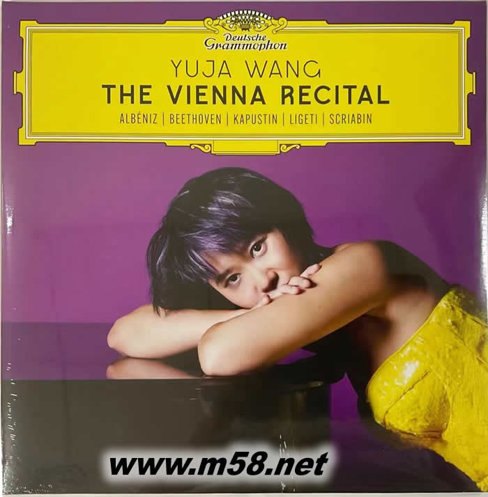 維也納獨(dú)奏會 THE VIENNA RECITAL 黑膠專輯正面圖片
