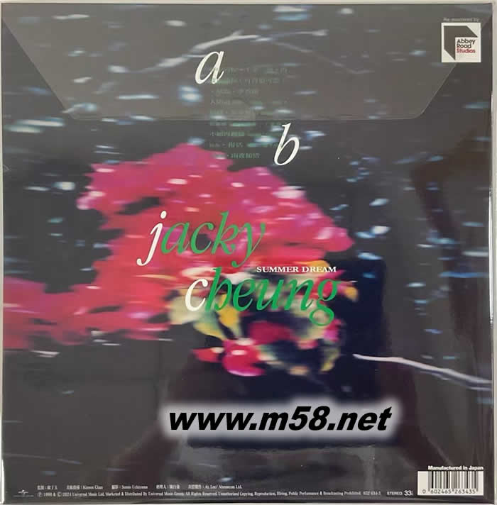 夢中的你 黑膠 限量版專輯背面圖片