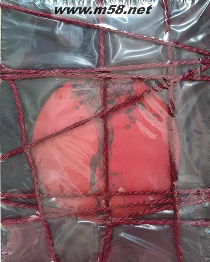 Pleasure 七罪花園版專輯正面圖片