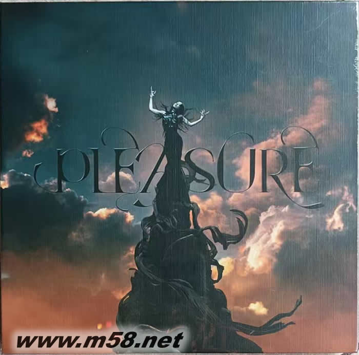 Pleasure 愉悅重生版專輯正面圖片