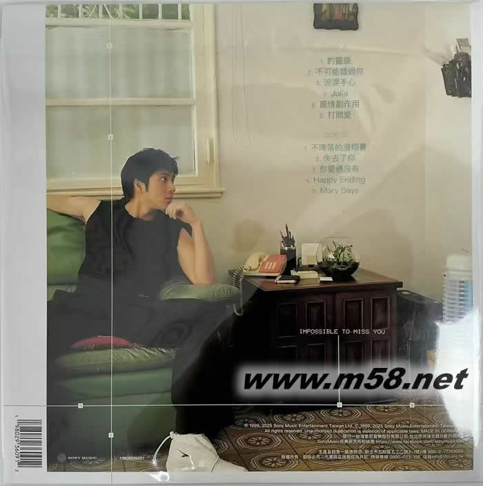不可能錯(cuò)過你 橘色彩膠 黑膠 限量版專輯背面圖片