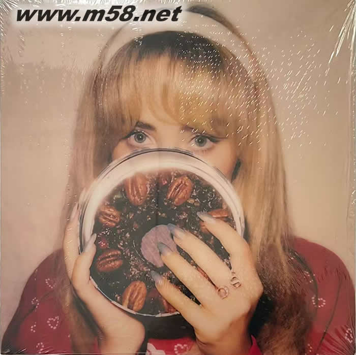 FRUITCAKE RECIPE 水果蛋糕食譜 黑膠專輯正面圖片